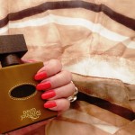 Golden Rose Holiday 76 & David Jourquin - Cuir Tabac
