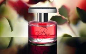 Ann Gerard Parfum - Rose Cut