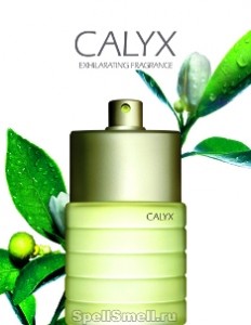 Clinique - Calyx