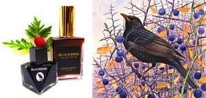 Olympic Orchids Artisan Perfumes - Blackbird