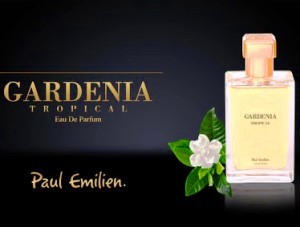Paul Emilien - Gardenia Tropical