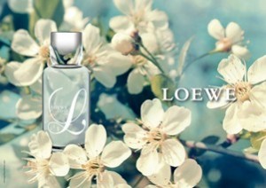 Loewe - Loewe L Cool