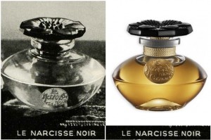 Caron - Narcisse Noir