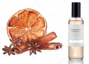 Laboratorio Olfattivo - Parfum d'Ambiance L'Arancio e la Cannella