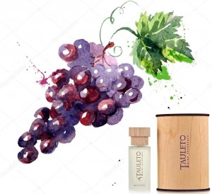 Tauleto - Tauleto Wine Fragrance