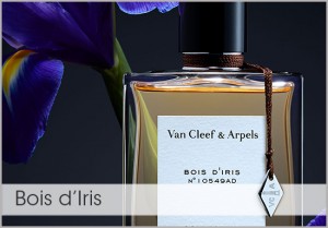 Van Cleef & Arpels - Bois d'Iris