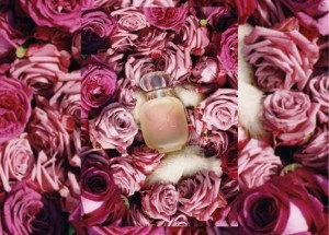 Les Parfums de Rosine - Un Folie de Rose